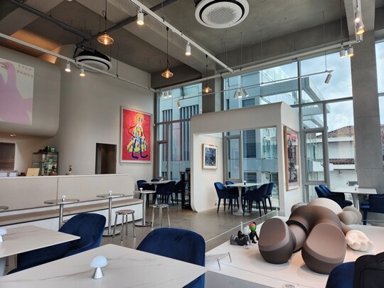 [단독] "상장하면 최소 100배" 아트테크 사기 의혹 업체, 코인 투자 권... - 뉴스 썸네일 이미지